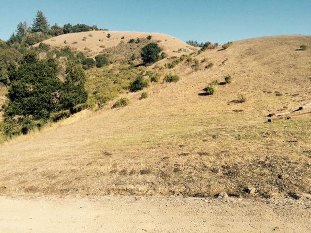 0 La Honda, LA HONDA, California 94020, ,Lots And Land,For Sale,La Honda,40966409