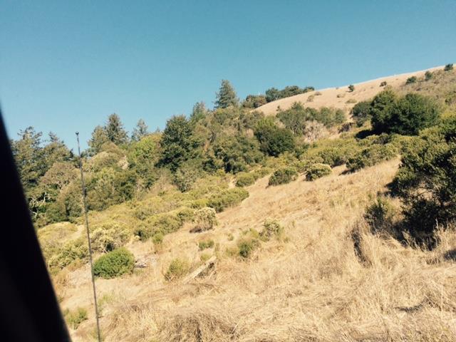 0 La Honda, LA HONDA, California 94020, ,Lots And Land,For Sale,La Honda,40966409