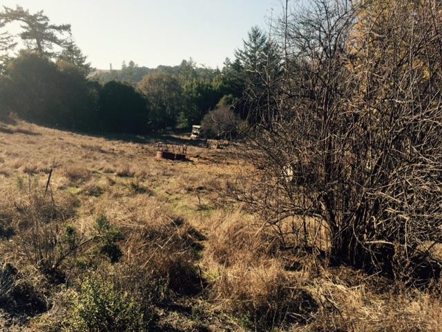 0 La Honda, LA HONDA, California 94020, ,Lots And Land,For Sale,La Honda,40966409