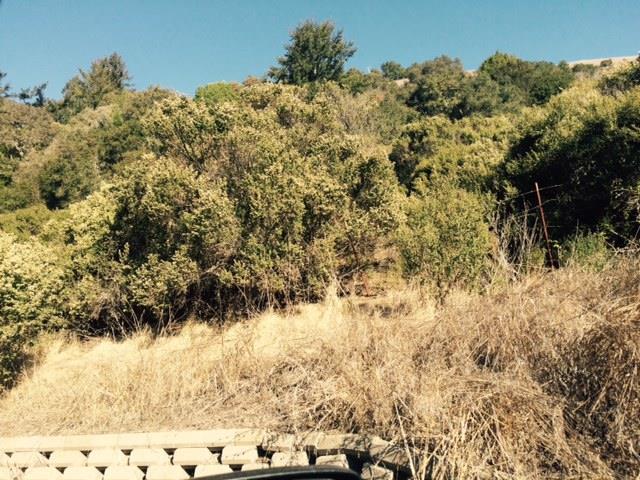 0 La Honda, LA HONDA, California 94020, ,Lots And Land,For Sale,La Honda,40966409