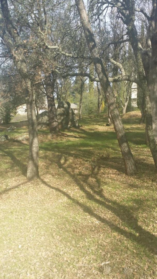 3890 Rustic Road, CAMERON PARK, California 95682, ,Lots And Land,For Sale,Rustic Road,40966391