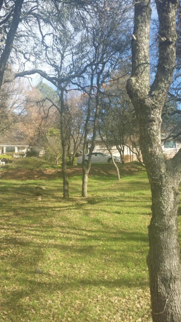 3890 Rustic Road, CAMERON PARK, California 95682, ,Lots And Land,For Sale,Rustic Road,40966391