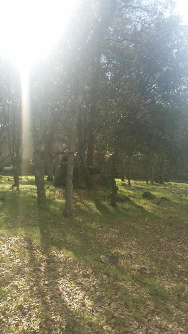 3890 Rustic Road, CAMERON PARK, California 95682, ,Lots And Land,For Sale,Rustic Road,40966391
