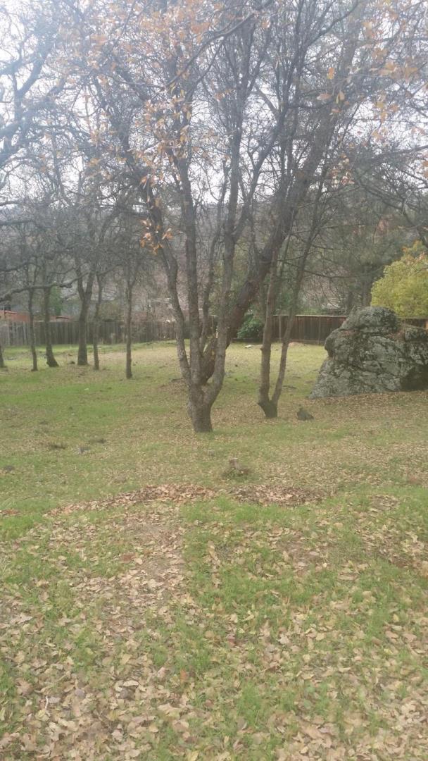 3890 Rustic Road, CAMERON PARK, California 95682, ,Lots And Land,For Sale,Rustic Road,40966391