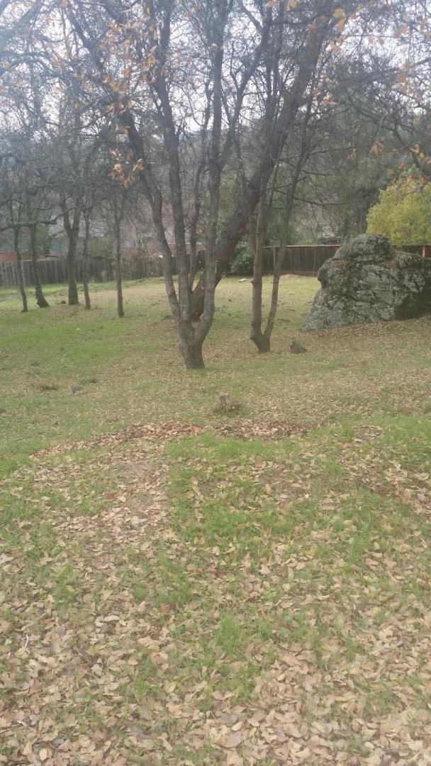 3890 Rustic Road, CAMERON PARK, California 95682, ,Lots And Land,For Sale,Rustic Road,40966391