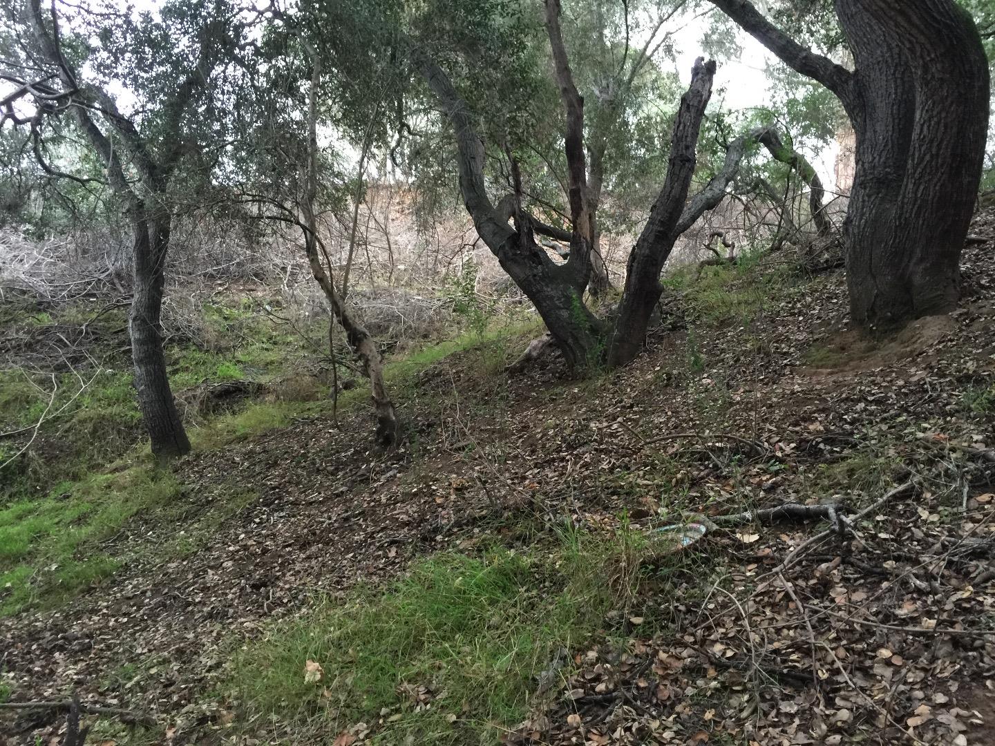 0 Ralston Avenue, BELMONT, California 94002, ,Lots And Land,For Sale,Ralston Avenue,40966390