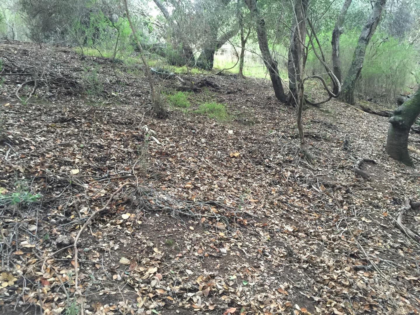 0 Ralston Avenue, BELMONT, California 94002, ,Lots And Land,For Sale,Ralston Avenue,40966390