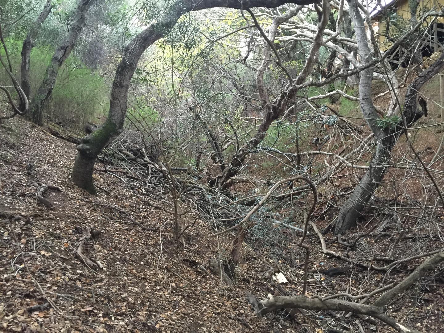0 Ralston Avenue, BELMONT, California 94002, ,Lots And Land,For Sale,Ralston Avenue,40966390