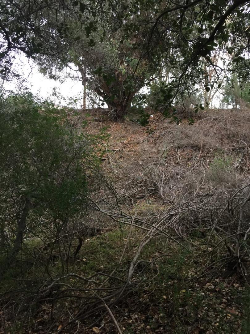 0 Ralston Avenue, BELMONT, California 94002, ,Lots And Land,For Sale,Ralston Avenue,40966390