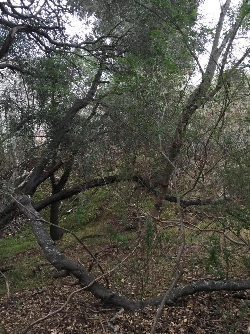 0 Ralston Avenue, BELMONT, California 94002, ,Lots And Land,For Sale,Ralston Avenue,40966390
