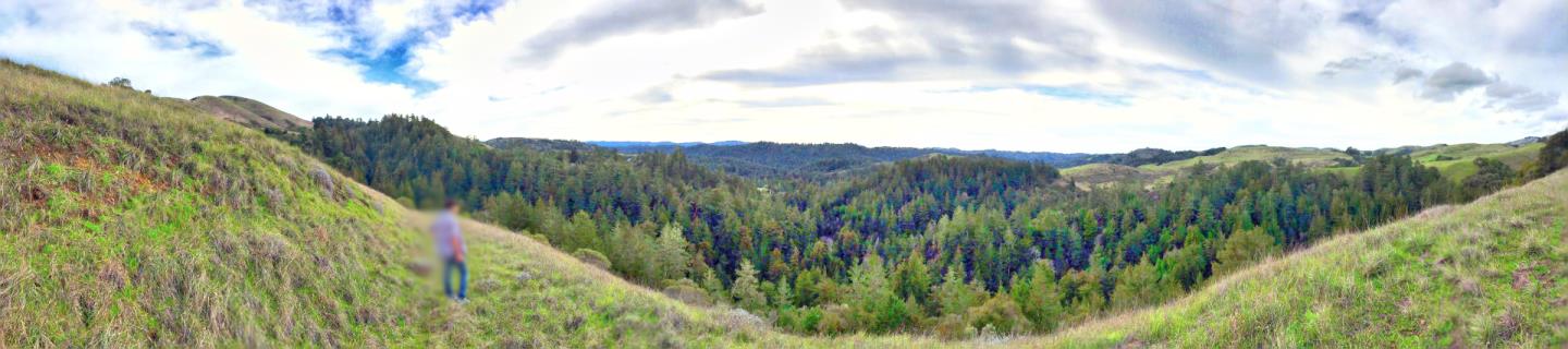 0 LA HONDA, LA HONDA, California 94020, ,Lots And Land,For Sale,LA HONDA,40966400