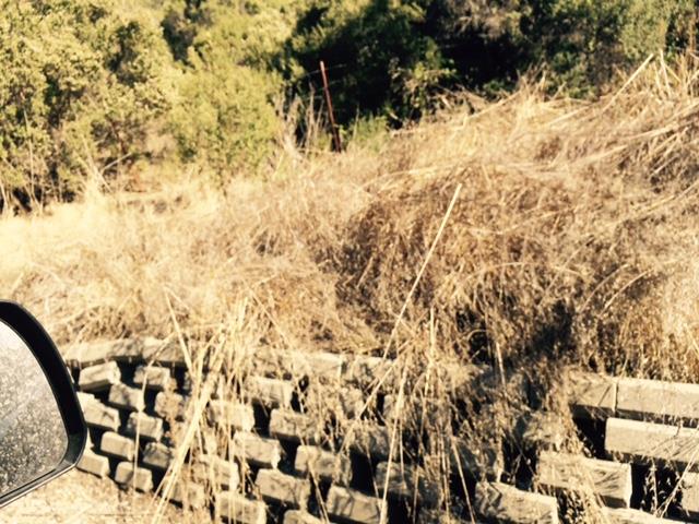 0 LA HONDA, LA HONDA, California 94020, ,Lots And Land,For Sale,LA HONDA,40966400