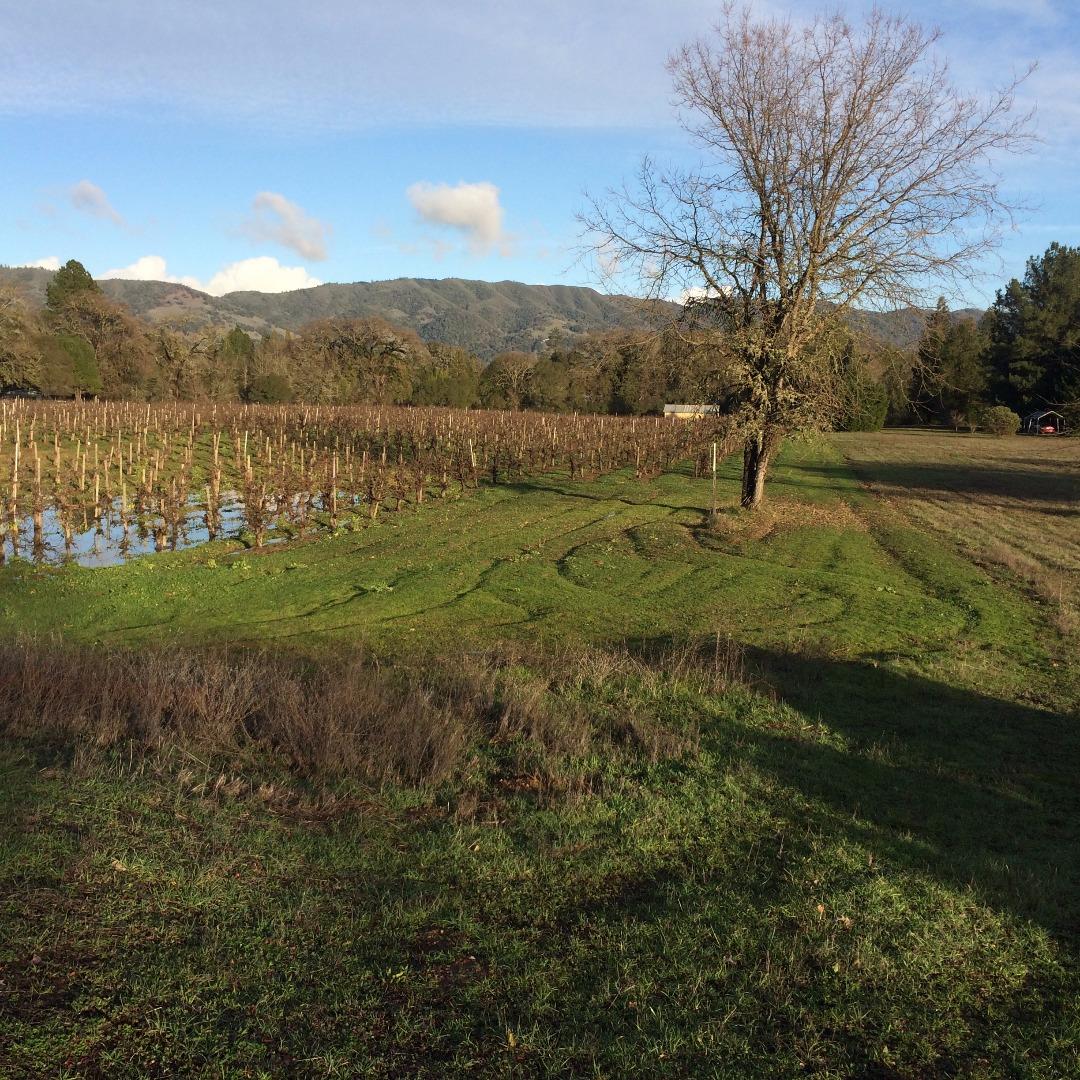9440 West Road, REDWOOD VALLEY, California 95470, ,Lots And Land,For Sale,West Road,40966399