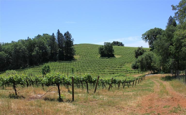 0 Vineyard Lane, PENN VALLEY, California 95946, ,Lots And Land,For Sale,Vineyard Lane,40966386