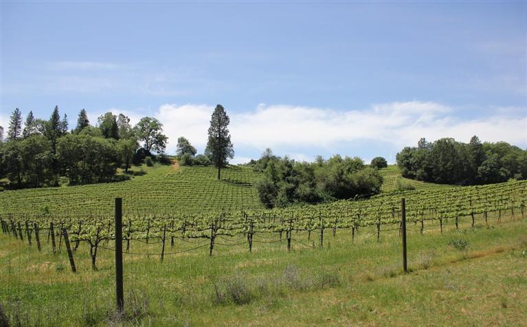 0 Vineyard Lane, PENN VALLEY, California 95946, ,Lots And Land,For Sale,Vineyard Lane,40966386