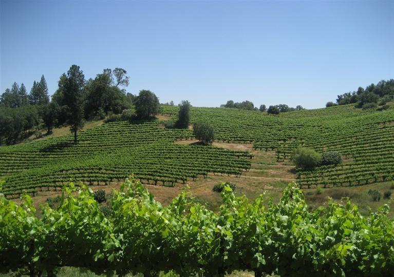 0 Vineyard Lane, PENN VALLEY, California 95946, ,Lots And Land,For Sale,Vineyard Lane,40966386