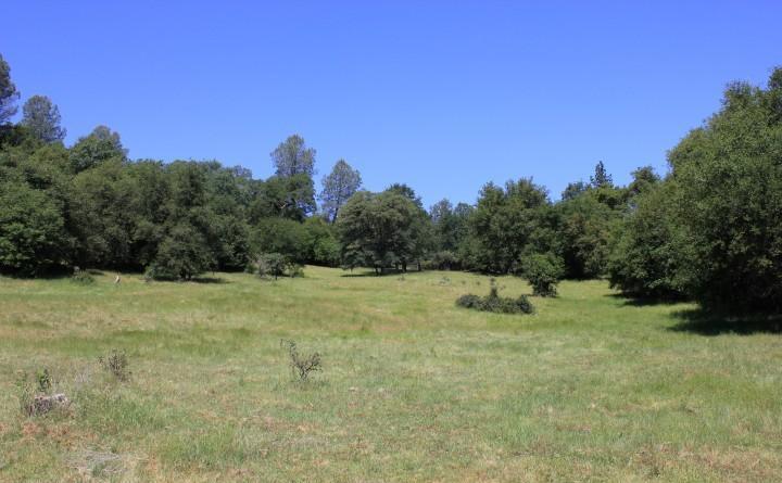 0 Vineyard Lane, PENN VALLEY, California 95946, ,Lots And Land,For Sale,Vineyard Lane,40966386