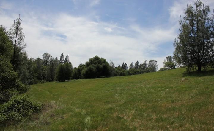 0 Vineyard Lane, PENN VALLEY, California 95946, ,Lots And Land,For Sale,Vineyard Lane,40966386