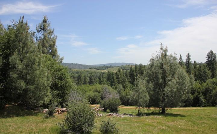 0 Vineyard Lane, PENN VALLEY, California 95946, ,Lots And Land,For Sale,Vineyard Lane,40966386