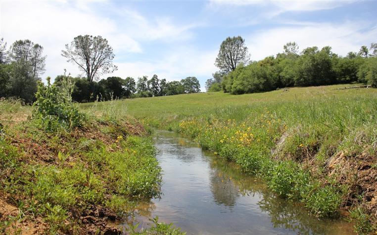 0 Vineyard Lane, PENN VALLEY, California 95946, ,Lots And Land,For Sale,Vineyard Lane,40966386