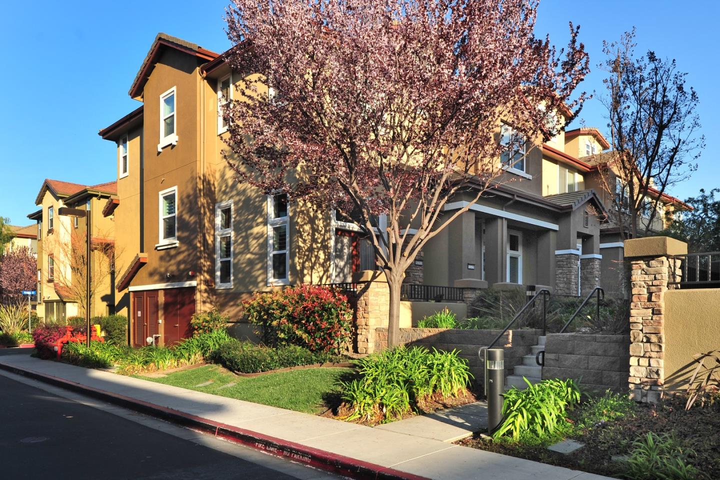 1237 Avenida Benito San Jose Ca 95131 San Jose Ca Luxury End