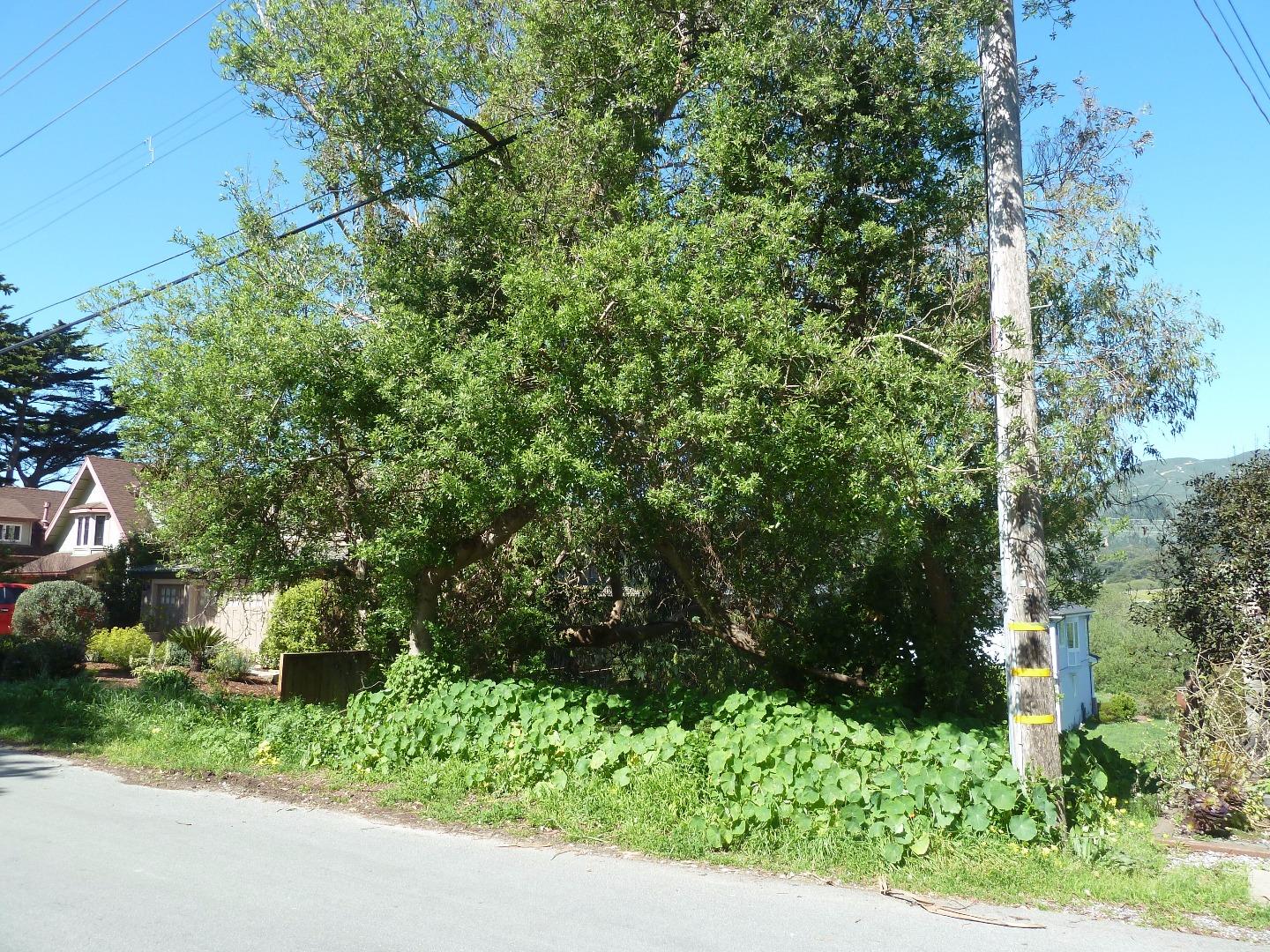 0 2nd Street, MONTARA, California 94037, ,Lots And Land,For Sale,2nd Street,40966382