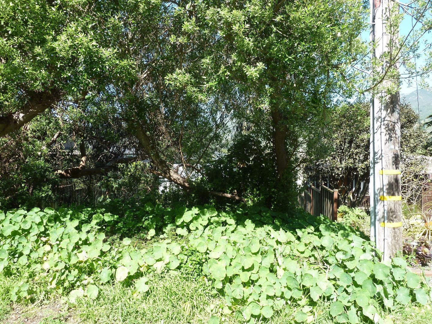 0 2nd Street, MONTARA, California 94037, ,Lots And Land,For Sale,2nd Street,40966382