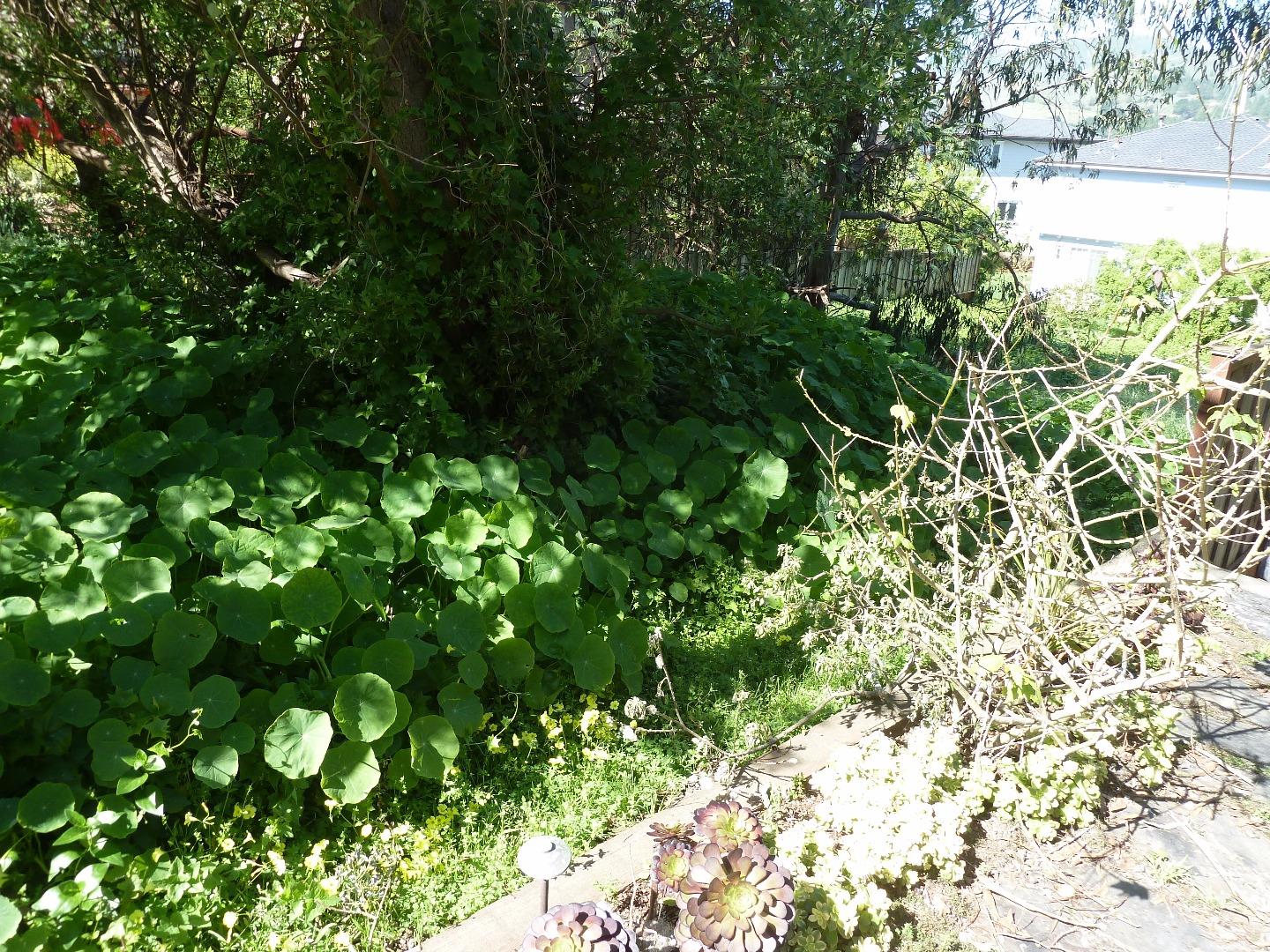 0 2nd Street, MONTARA, California 94037, ,Lots And Land,For Sale,2nd Street,40966382
