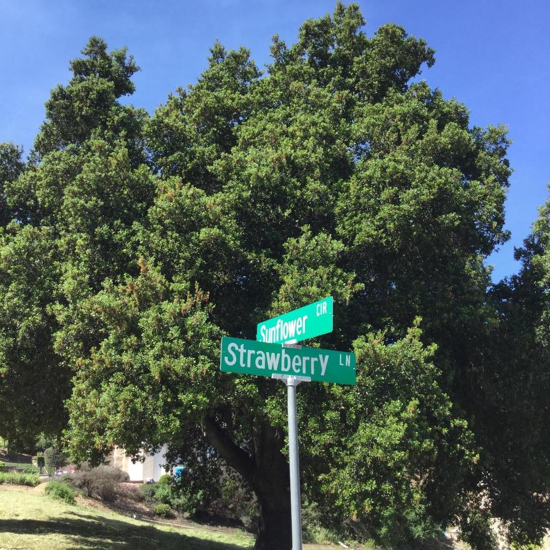 8565 Strawberry Lane, GILROY, California 95020, ,Lots And Land,For Sale,Strawberry Lane,40966396