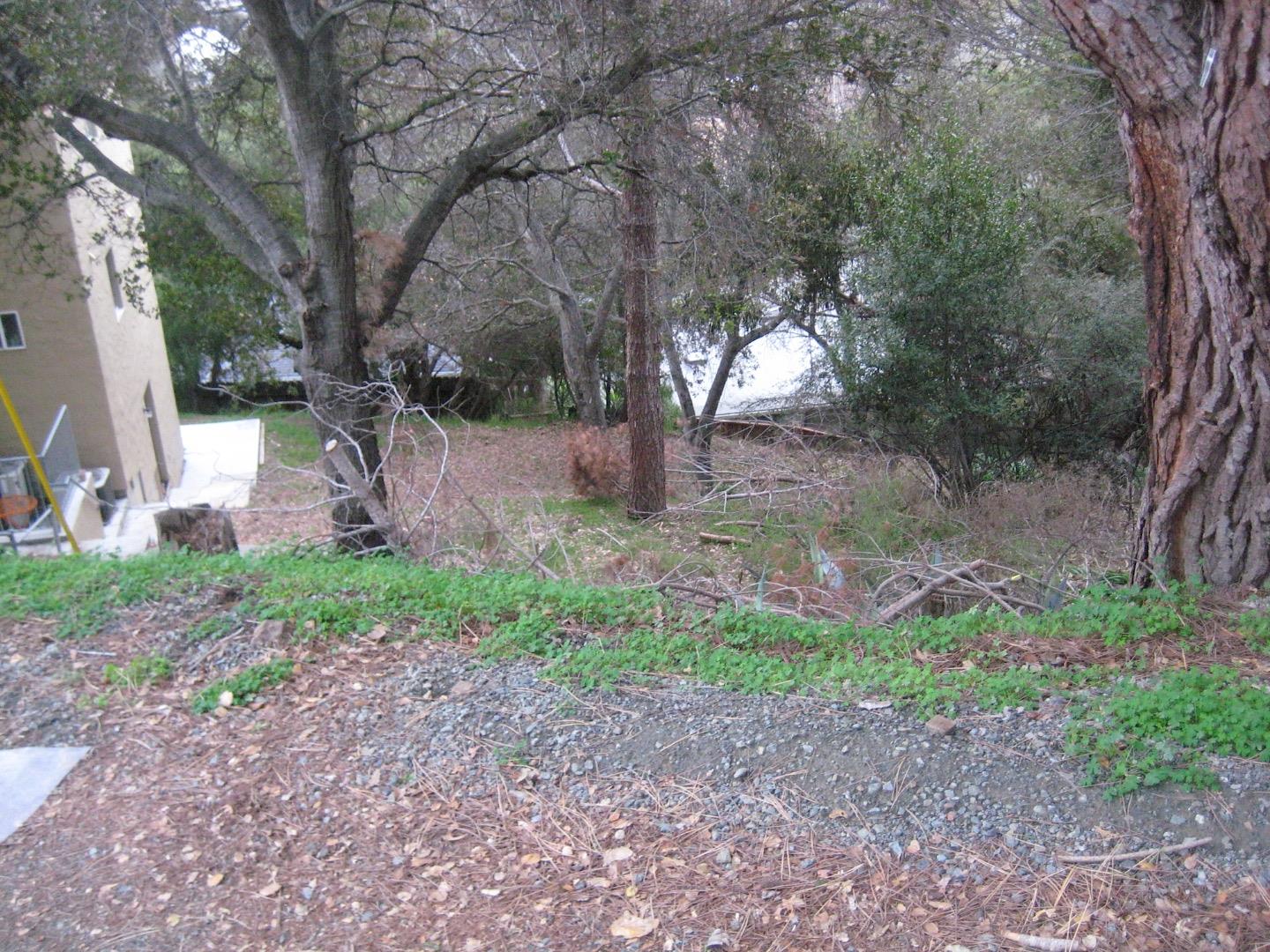 00 Arthur Avenue, BELMONT, California 94002, ,Lots And Land,For Sale,Arthur Avenue,40966394