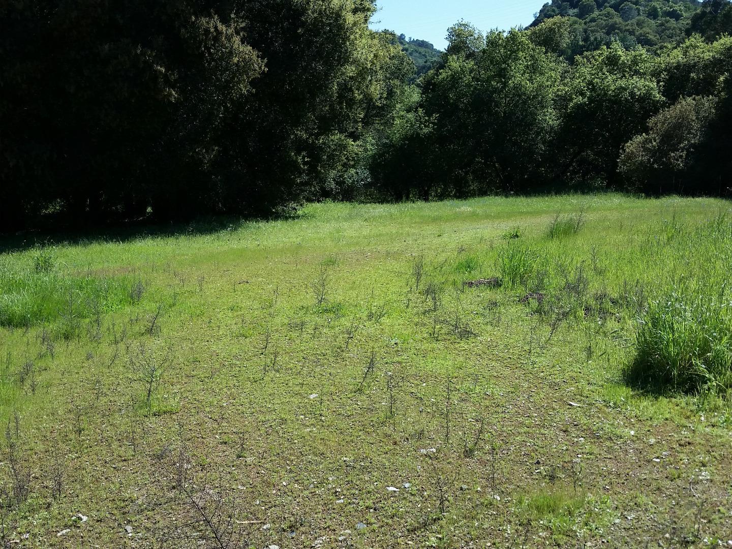 0 Stevens Canyon Road, CUPERTINO, California 95014, ,Lots And Land,For Sale,Stevens Canyon Road,40966393
