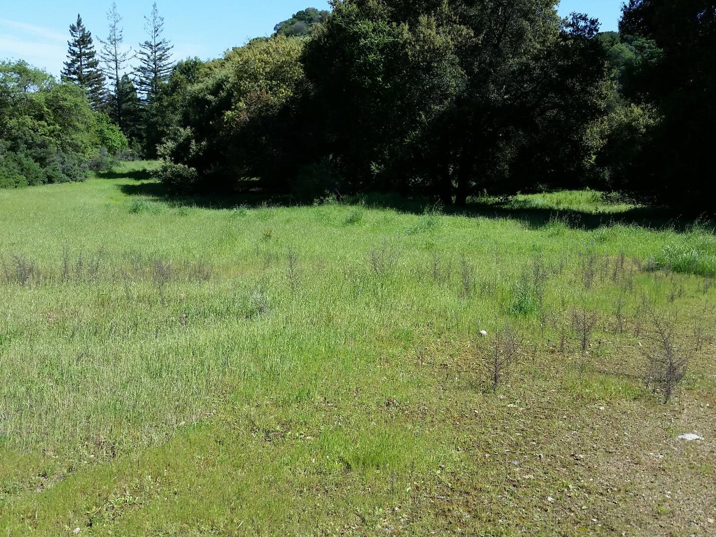 0 Stevens Canyon Road, CUPERTINO, California 95014, ,Lots And Land,For Sale,Stevens Canyon Road,40966393