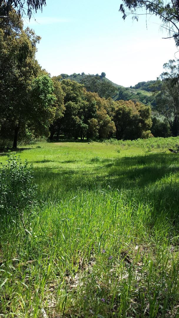 0 Stevens Canyon Road, CUPERTINO, California 95014, ,Lots And Land,For Sale,Stevens Canyon Road,40966393