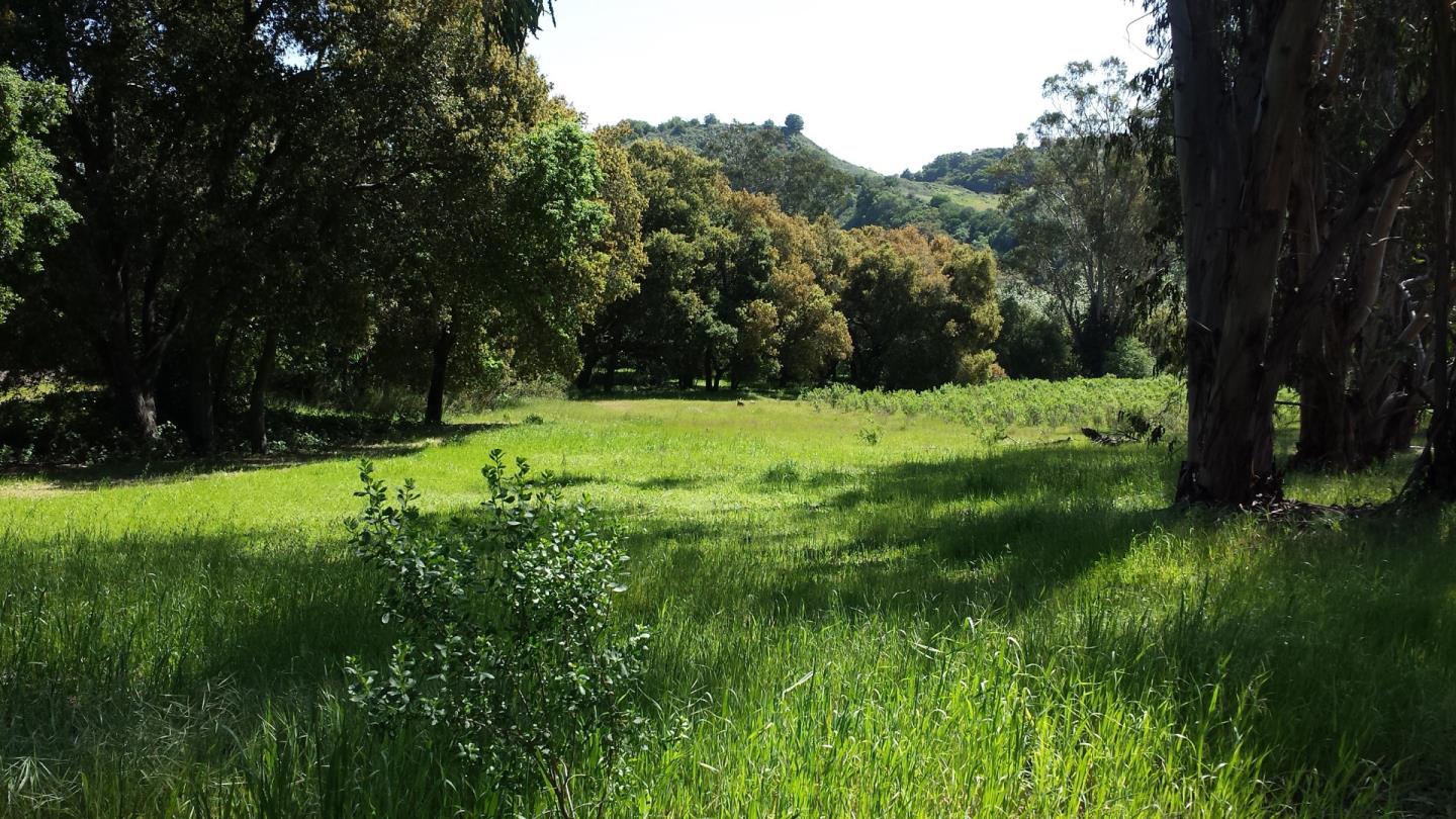 0 Stevens Canyon Road, CUPERTINO, California 95014, ,Lots And Land,For Sale,Stevens Canyon Road,40966393