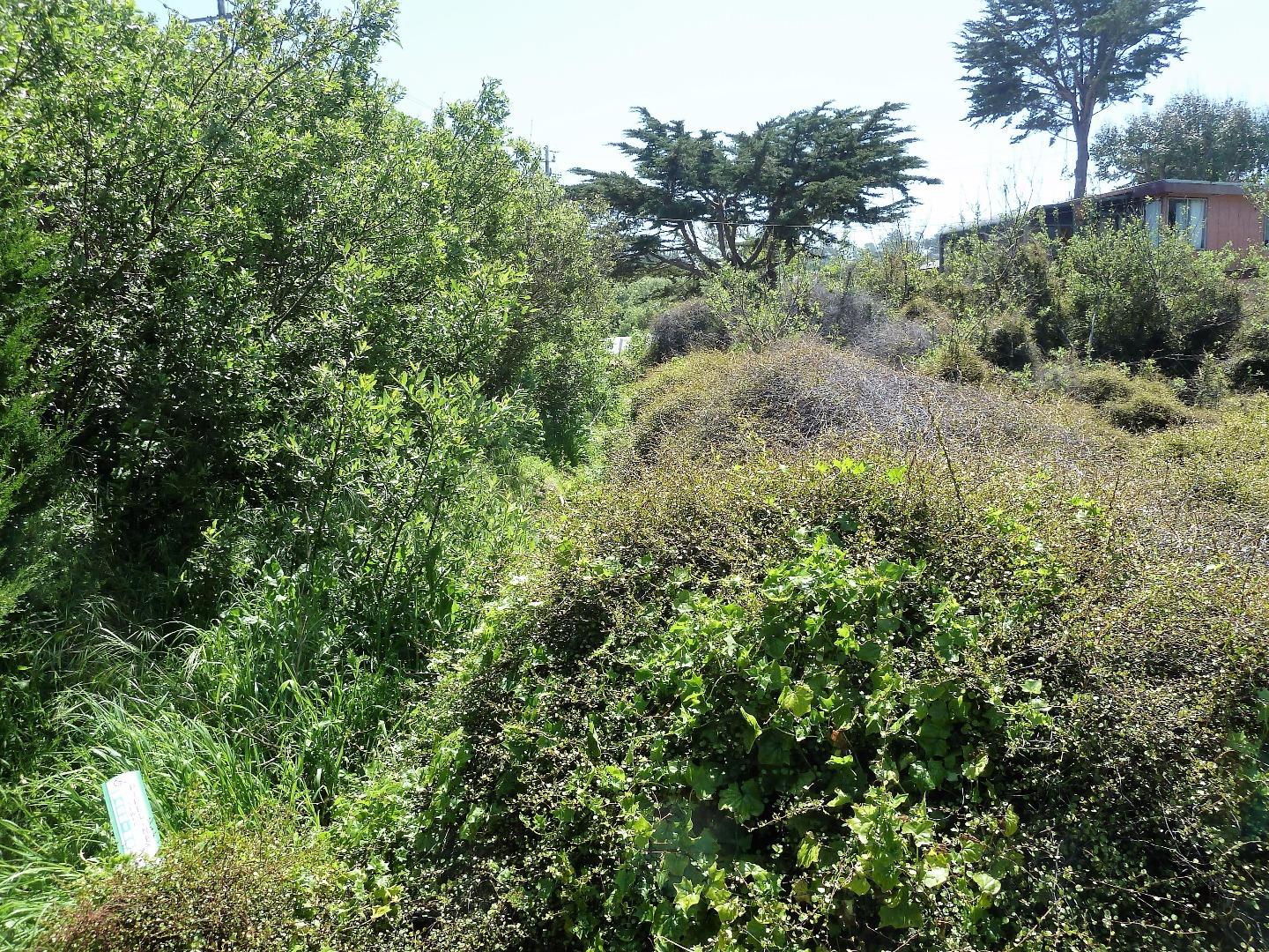 00 1st Street, MONTARA, California 94037, ,Lots And Land,For Sale,1st Street,40966388