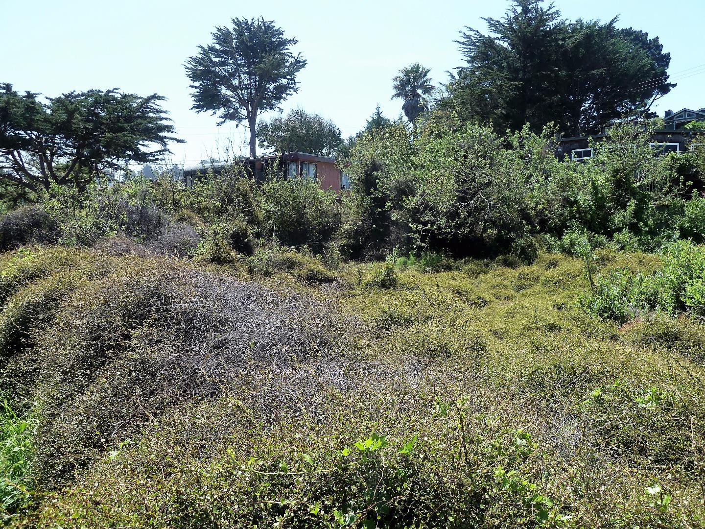 00 1st Street, MONTARA, California 94037, ,Lots And Land,For Sale,1st Street,40966388