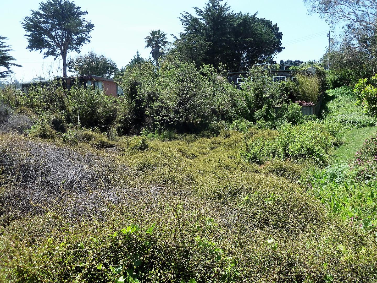 00 1st Street, MONTARA, California 94037, ,Lots And Land,For Sale,1st Street,40966388