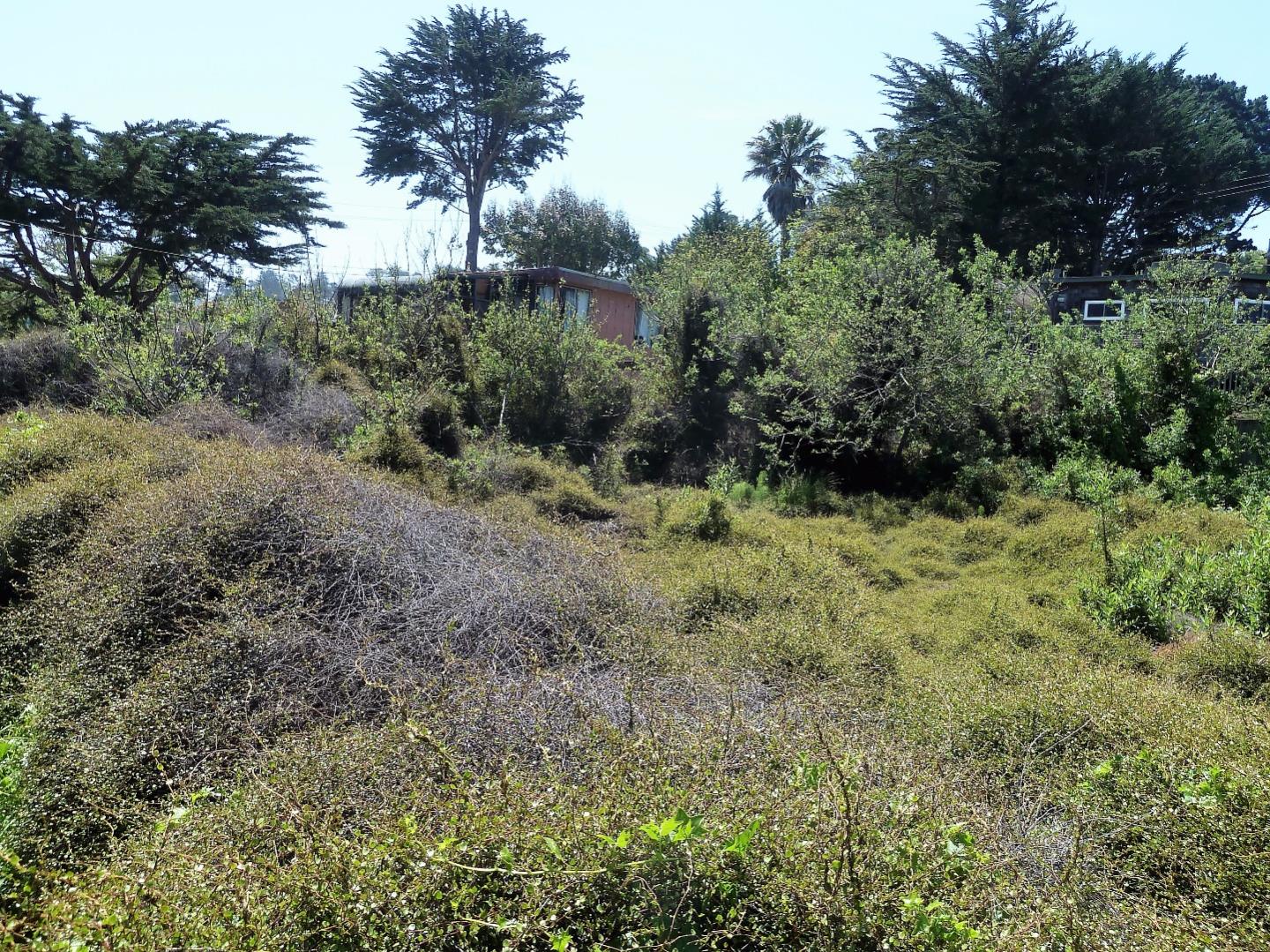 00 1st Street, MONTARA, California 94037, ,Lots And Land,For Sale,1st Street,40966388