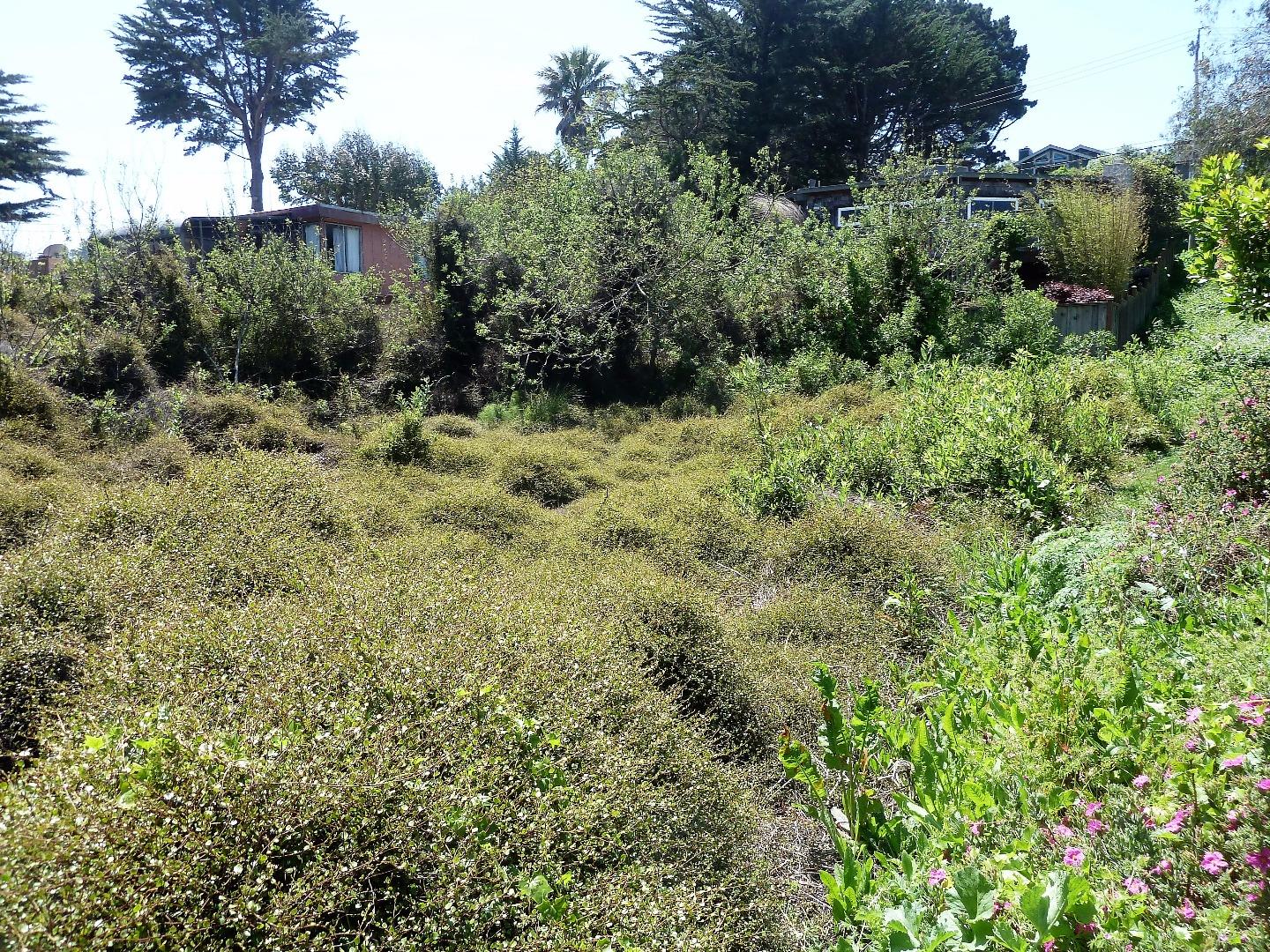 00 1st Street, MONTARA, California 94037, ,Lots And Land,For Sale,1st Street,40966388