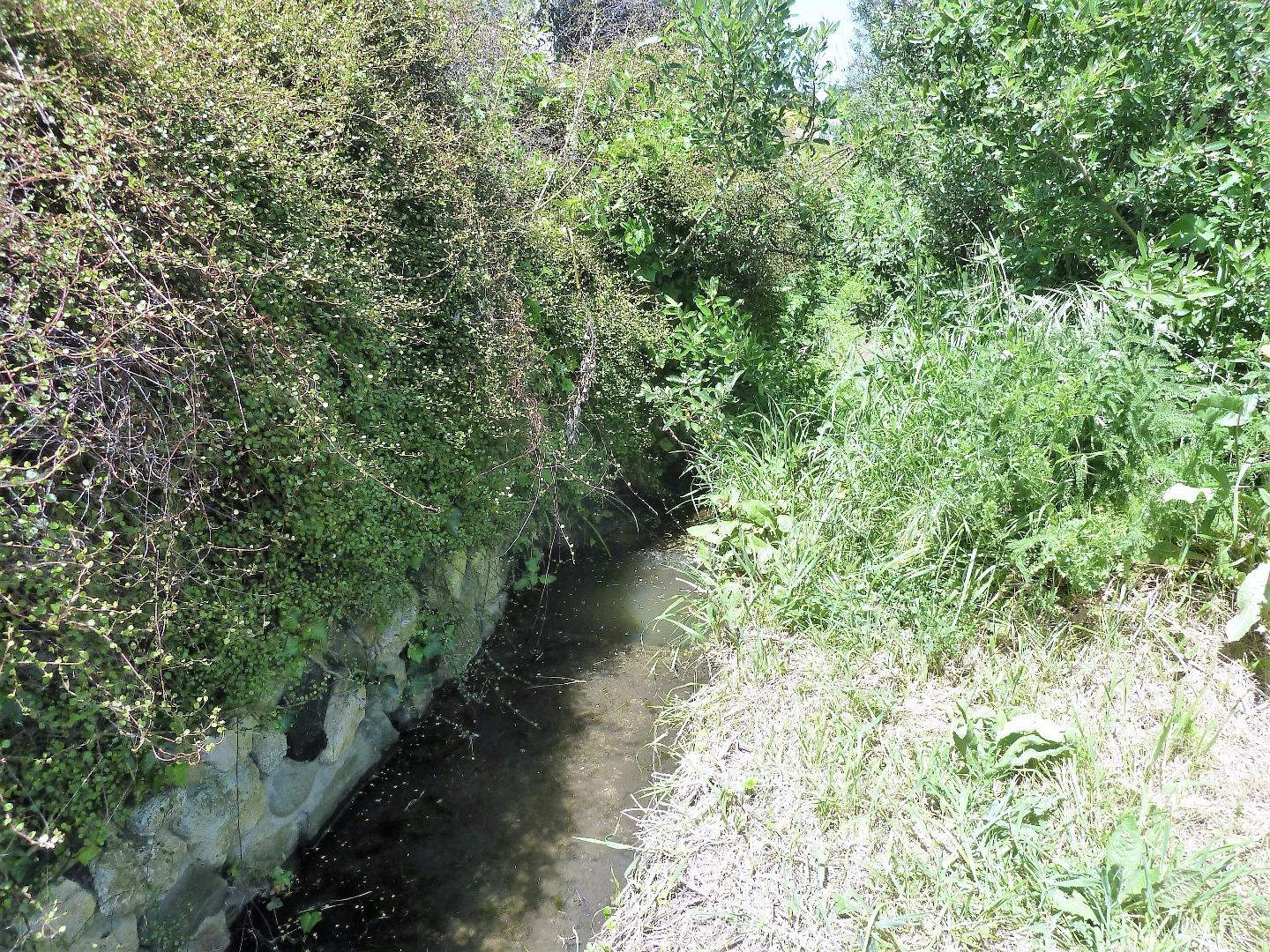 00 1st Street, MONTARA, California 94037, ,Lots And Land,For Sale,1st Street,40966388