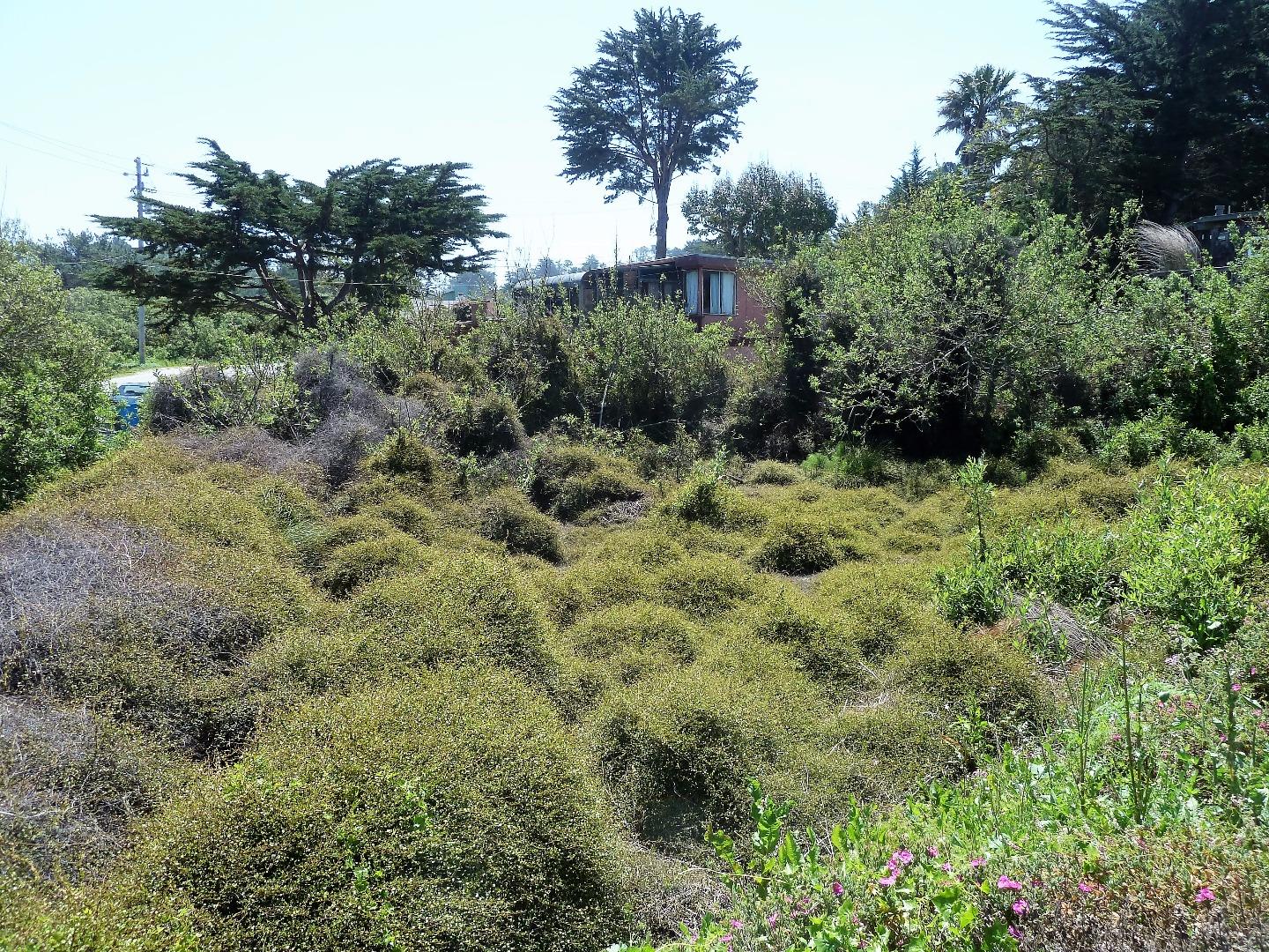 00 1st Street, MONTARA, California 94037, ,Lots And Land,For Sale,1st Street,40966388