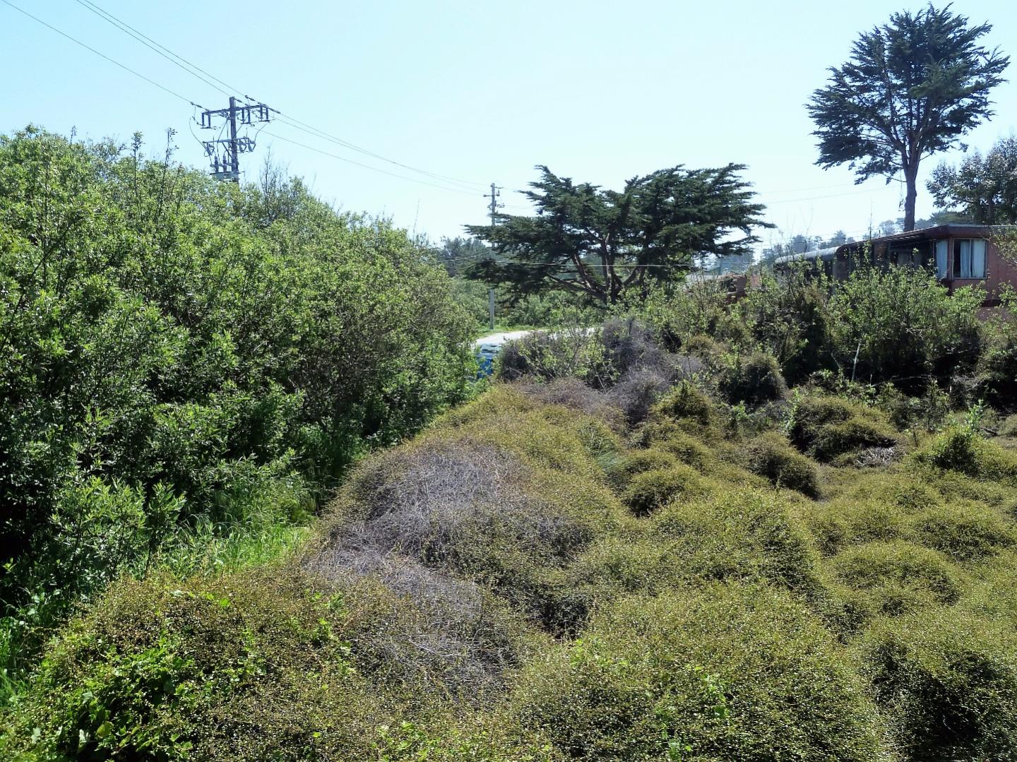 00 1st Street, MONTARA, California 94037, ,Lots And Land,For Sale,1st Street,40966388