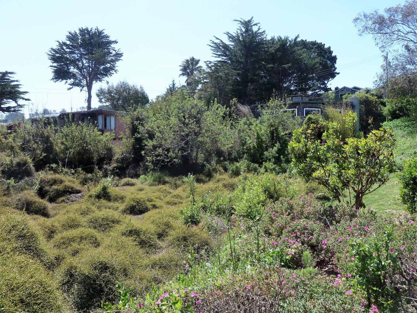 00 1st Street, MONTARA, California 94037, ,Lots And Land,For Sale,1st Street,40966388