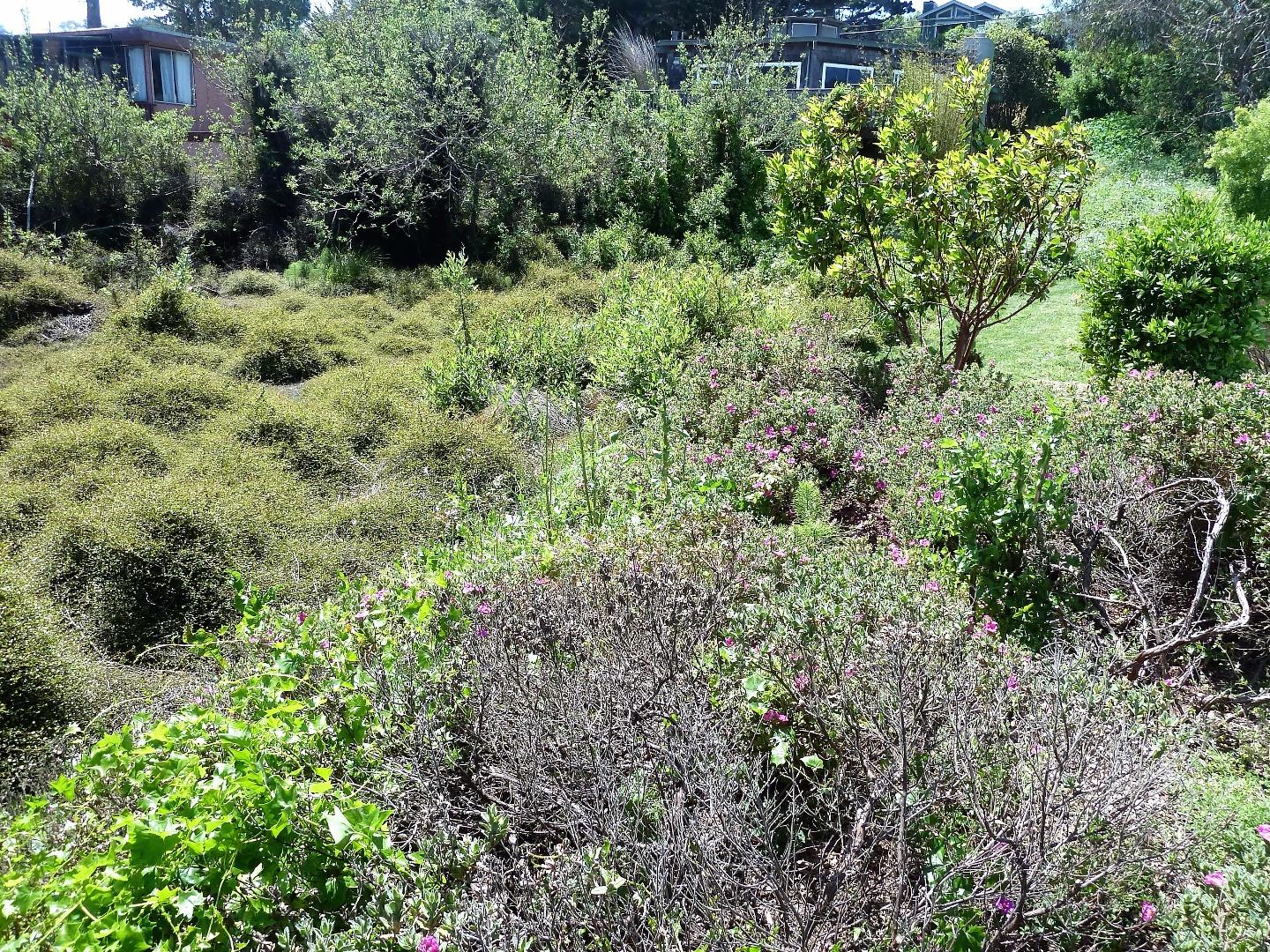 00 1st Street, MONTARA, California 94037, ,Lots And Land,For Sale,1st Street,40966388