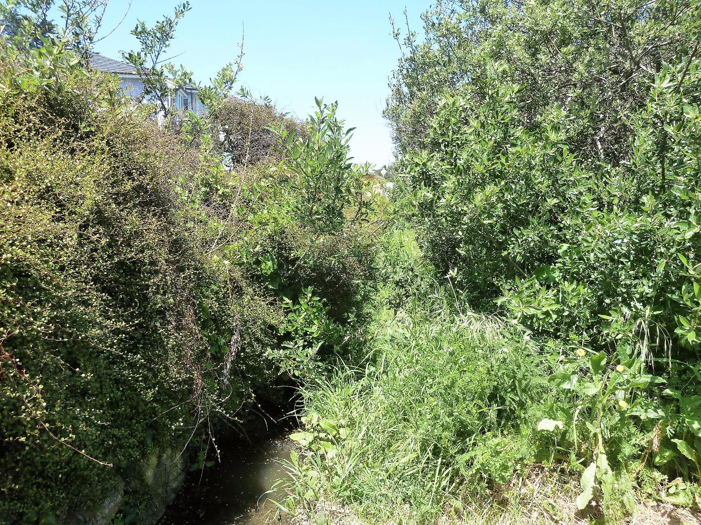 00 1st Street, MONTARA, California 94037, ,Lots And Land,For Sale,1st Street,40966388