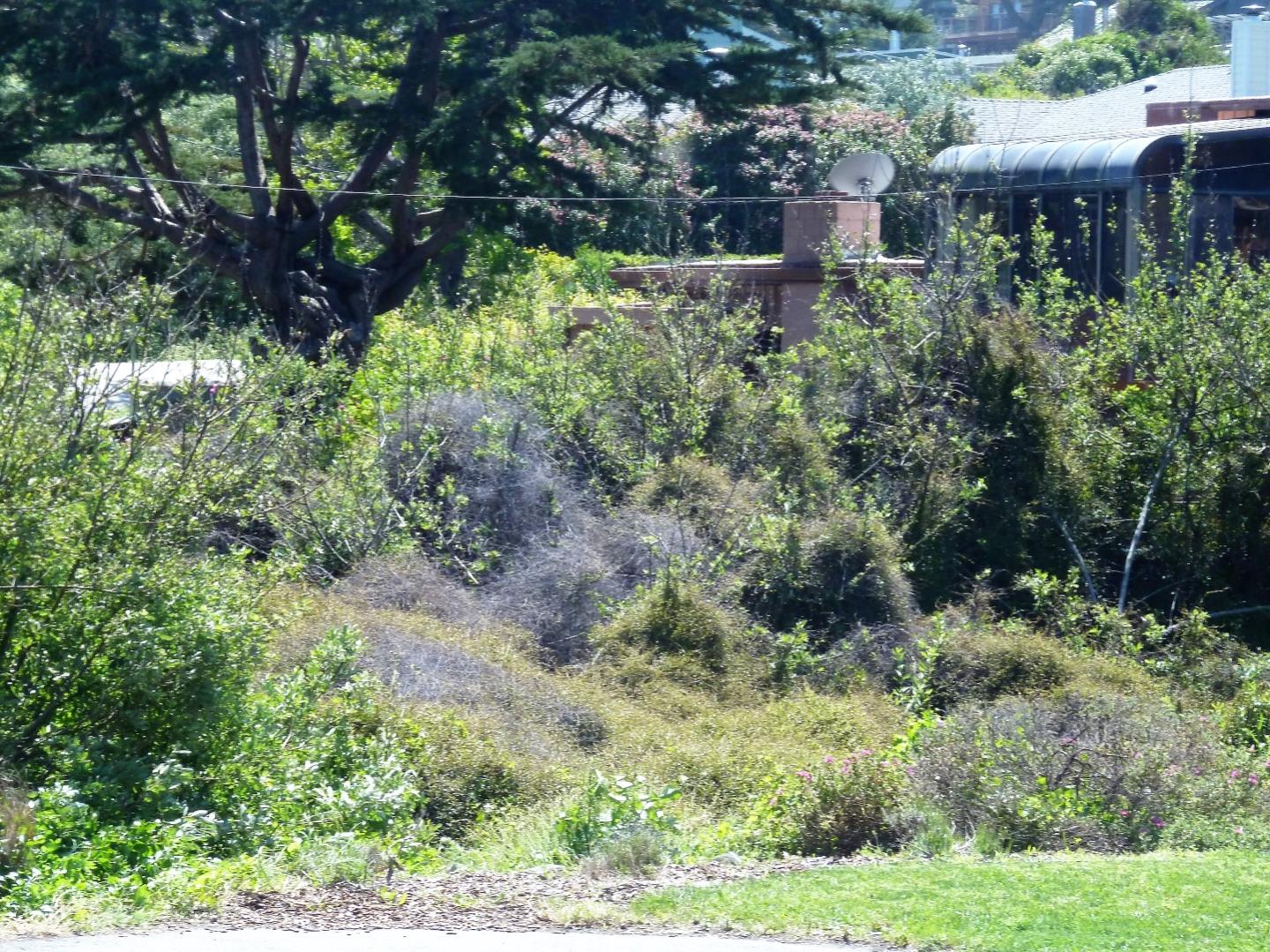 00 1st Street, MONTARA, California 94037, ,Lots And Land,For Sale,1st Street,40966388