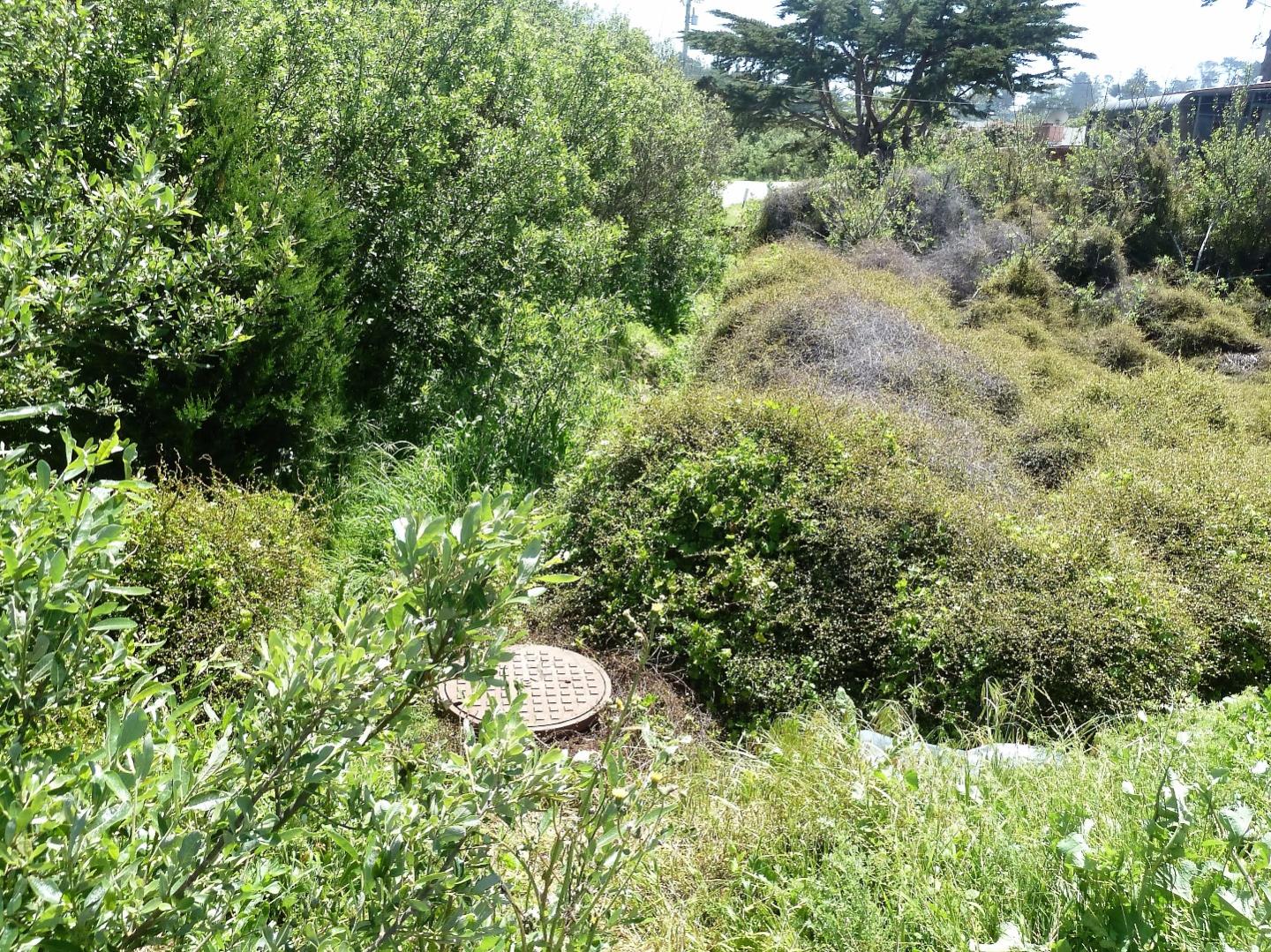 00 1st Street, MONTARA, California 94037, ,Lots And Land,For Sale,1st Street,40966388