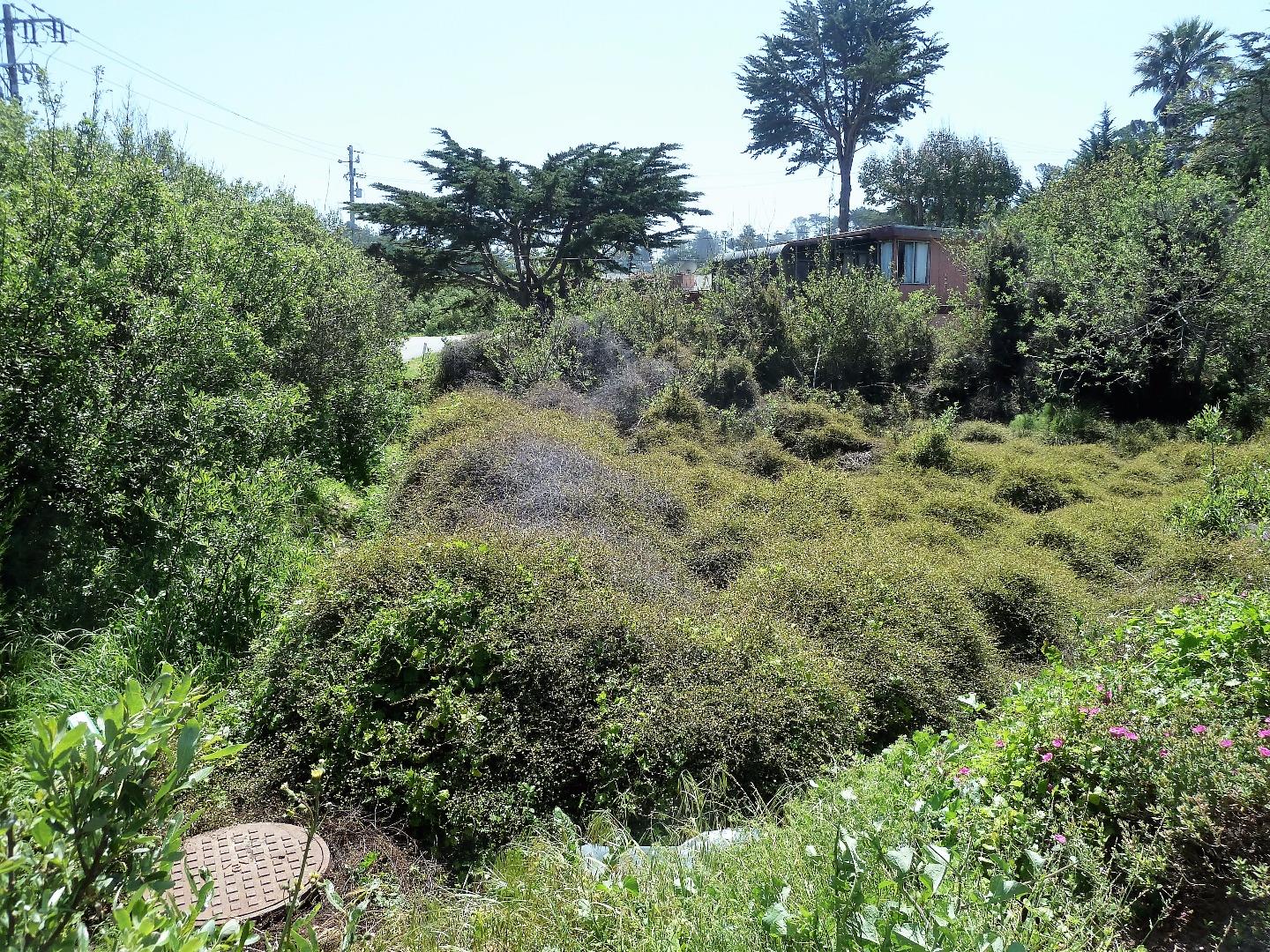 00 1st Street, MONTARA, California 94037, ,Lots And Land,For Sale,1st Street,40966388