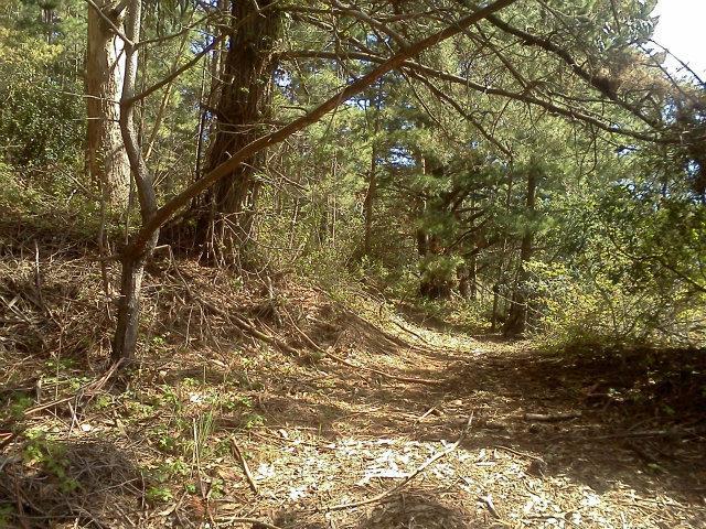 0 San Mateo Drive, HALF MOON BAY, California 94019, ,Lots And Land,For Sale,San Mateo Drive,40966387