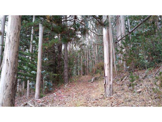 0 San Mateo Drive, HALF MOON BAY, California 94019, ,Lots And Land,For Sale,San Mateo Drive,40966387